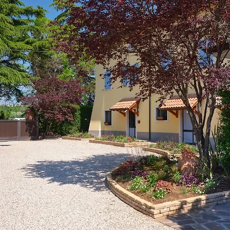 Garda Sweet - Sole - Cason Degli Ulivi *