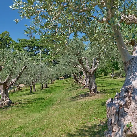 דירה Cason Degli Ulivi-apt Classic 2 Rivoli Veronese